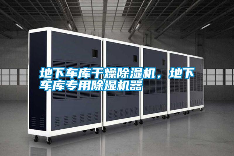 地下車庫(kù)干燥除濕機(jī)，地下車庫(kù)專用除濕機(jī)器