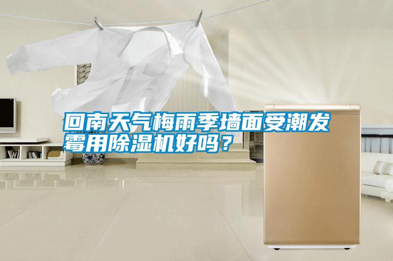 回南天氣梅雨季墻面受潮發(fā)霉用除濕機好嗎？