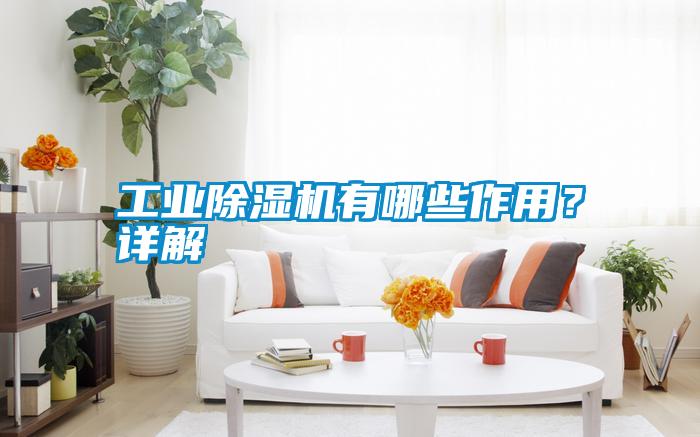 工業(yè)除濕機(jī)有哪些作用？詳解