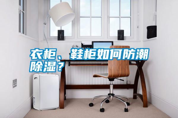 衣柜、鞋柜如何防潮除濕？
