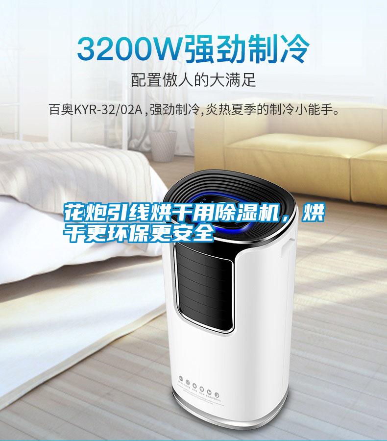 花炮引線烘干用除濕機，烘干更環(huán)保更安全