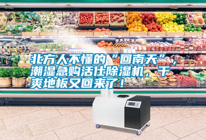北方人不懂的“回南天”，潮濕急購活仕除濕機，干爽地板又回來了！