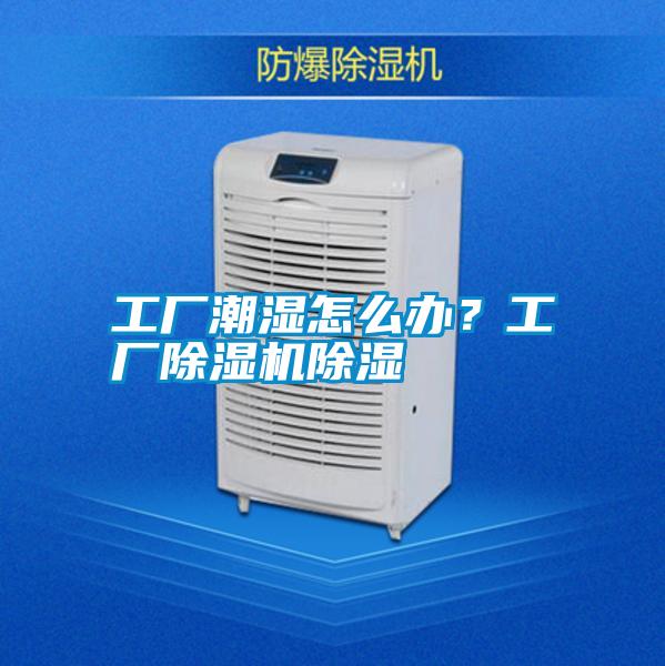 工廠潮濕怎么辦？工廠除濕機(jī)除濕