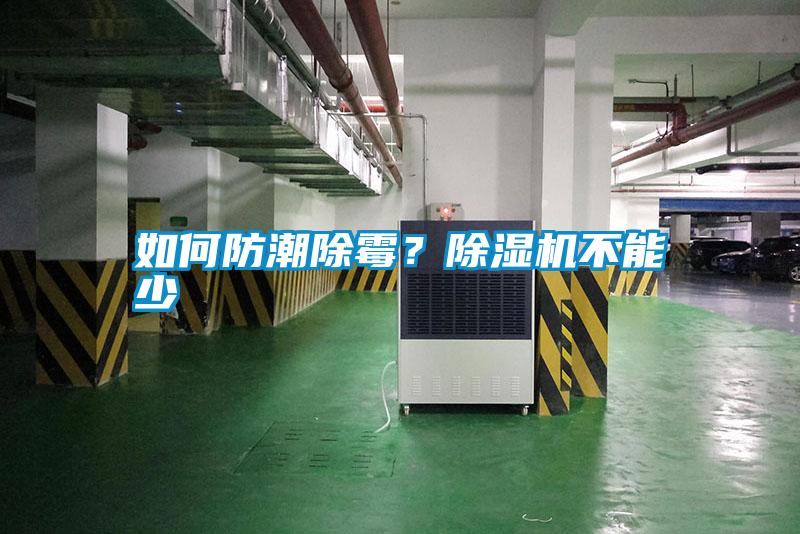 如何防潮除霉？除濕機不能少