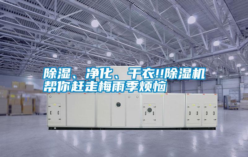 除濕、凈化、干衣!!除濕機幫你趕走梅雨季煩惱