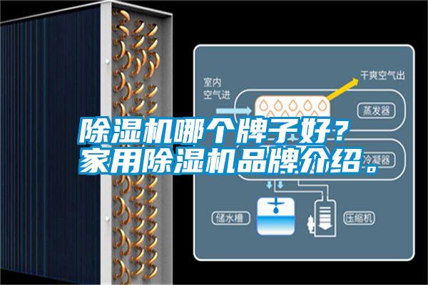 除濕機(jī)哪個(gè)牌子好？家用除濕機(jī)品牌介紹。