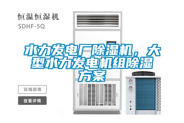 水力發(fā)電廠除濕機(jī)，大型水力發(fā)電機(jī)組除濕方案