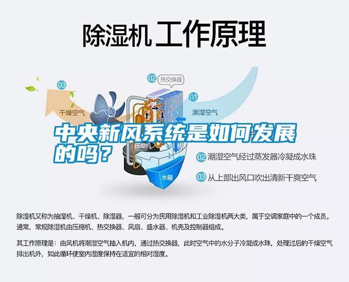 中央新風(fēng)系統(tǒng)是如何發(fā)展的嗎？