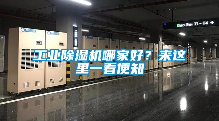 工業(yè)除濕機(jī)哪家好？來這里一看便知