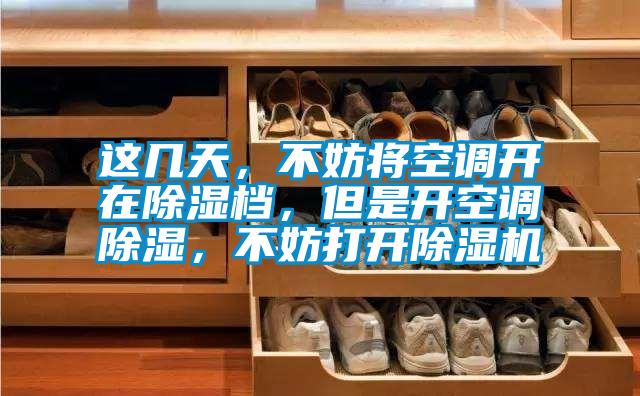 這幾天，不妨將空調(diào)開在除濕檔，但是開空調(diào)除濕，不妨打開除濕機(jī)