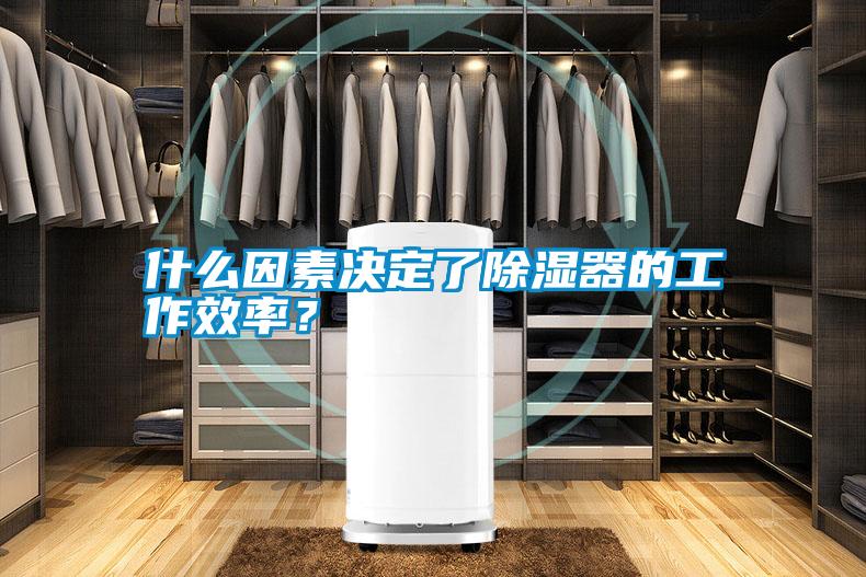 什么因素決定了除濕器的工作效率？
