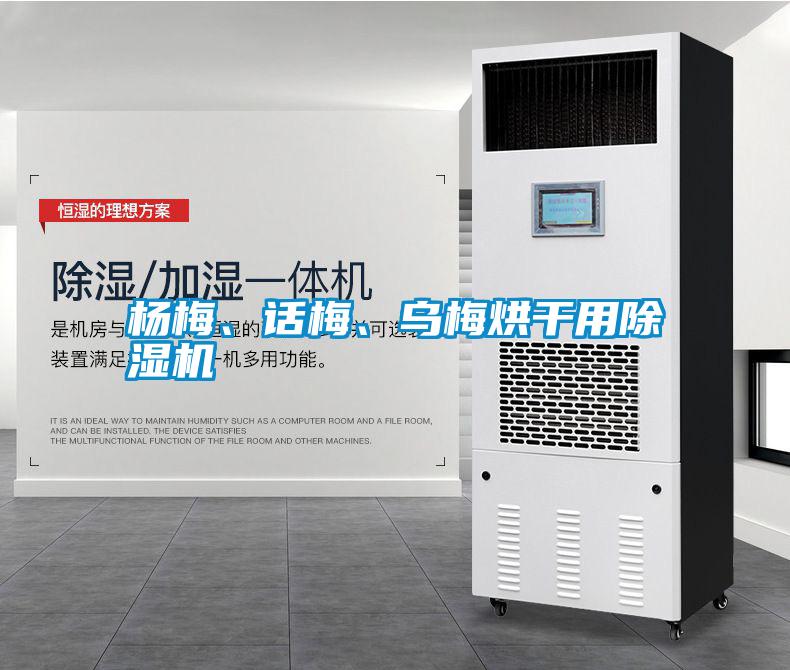 楊梅、話梅、烏梅烘干用除濕機(jī)