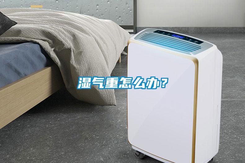 濕氣重怎么辦？