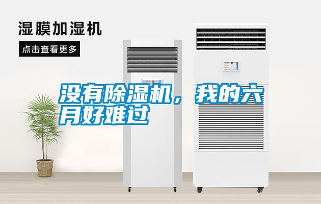 沒有除濕機(jī)，我的六月好難過