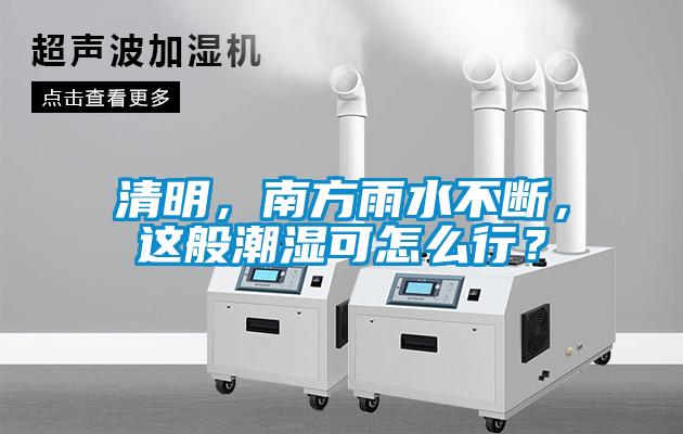 清明，南方雨水不斷，這般潮濕可怎么行？