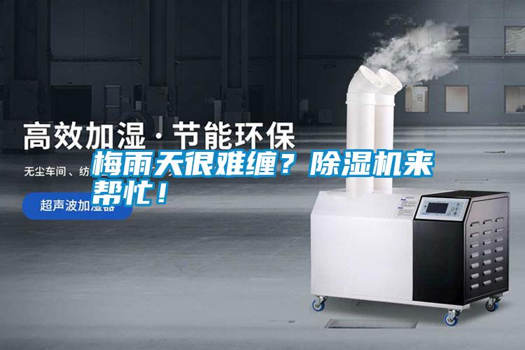 梅雨天很難纏？除濕機來幫忙！