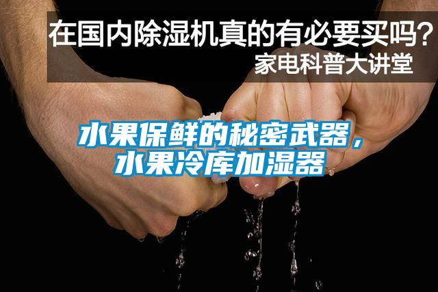 水果保鮮的秘密武器，水果冷庫加濕器