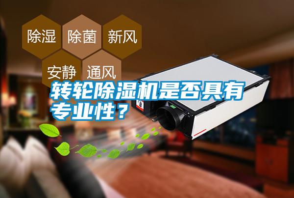 轉(zhuǎn)輪除濕機是否具有專業(yè)性？