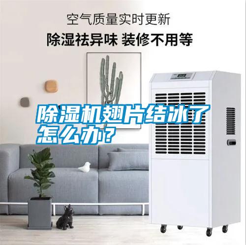除濕機翅片結(jié)冰了怎么辦？