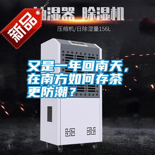 又是一年回南天，在南方如何存茶更防潮？
