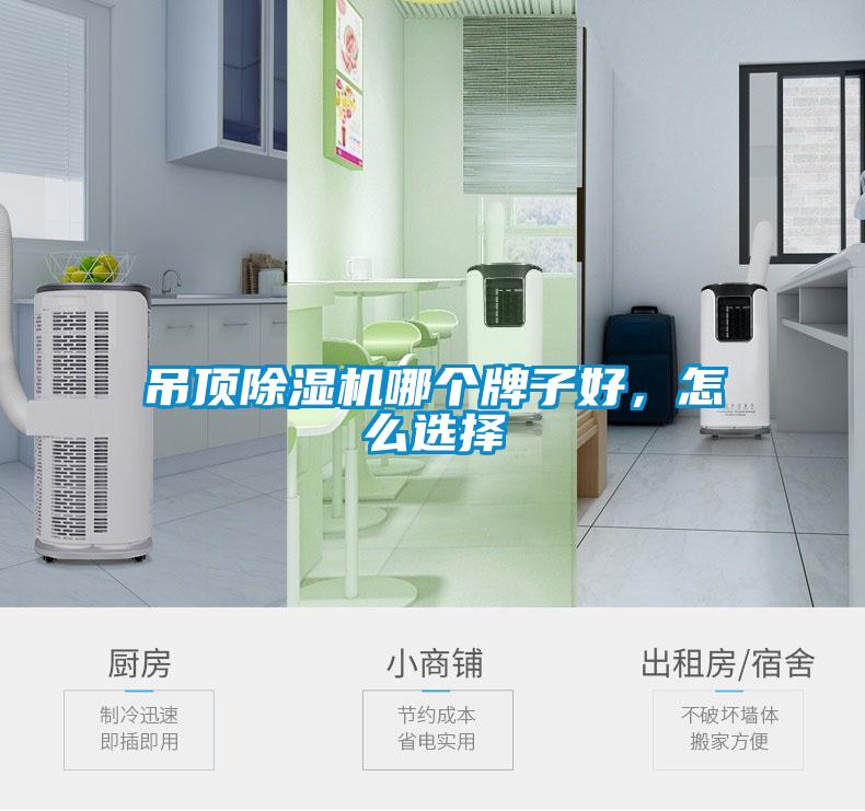 吊頂除濕機(jī)哪個(gè)牌子好，怎么選擇