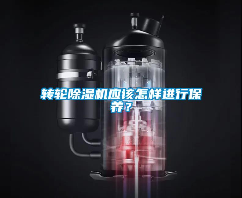 轉輪除濕機應該怎樣進行保養(yǎng)？