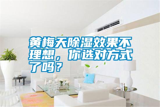 黃梅天除濕效果不理想，你選對方式了嗎？