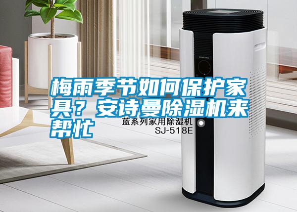 梅雨季節(jié)如何保護(hù)家具？安詩曼除濕機(jī)來幫忙