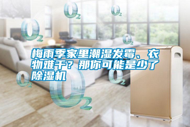 梅雨季家里潮濕發(fā)霉、衣物難干？那你可能是少了除濕機