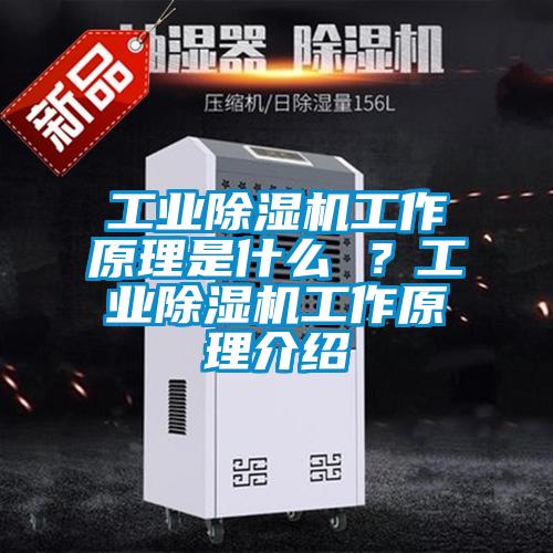 工業(yè)除濕機(jī)工作原理是什么 ？工業(yè)除濕機(jī)工作原理介紹
