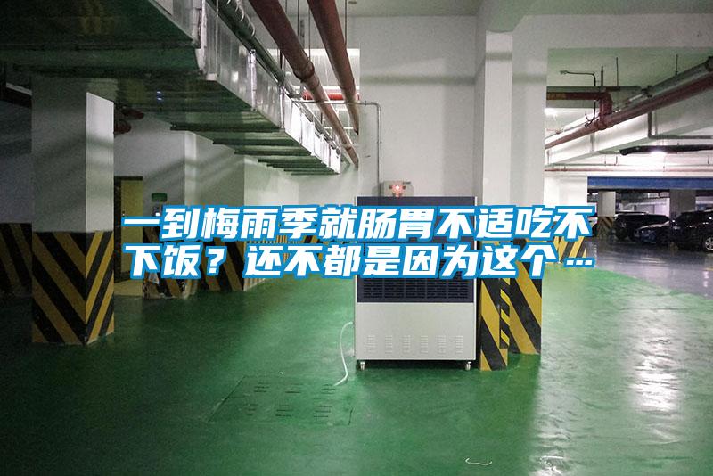 一到梅雨季就腸胃不適吃不下飯？還不都是因為這個…