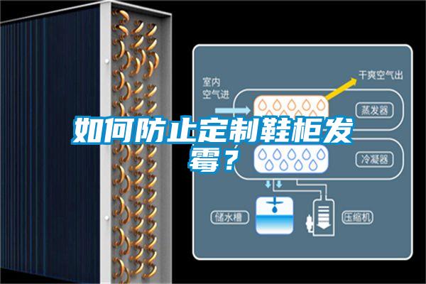 如何防止定制鞋柜發(fā)霉？
