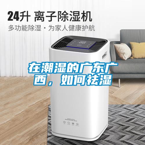 在潮濕的廣東廣西，如何祛濕