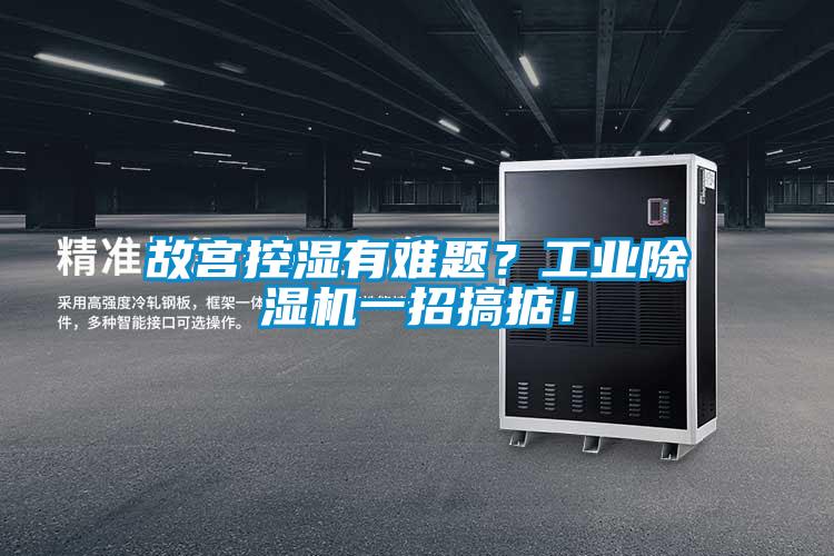 故宮控濕有難題？工業(yè)除濕機(jī)一招搞掂！