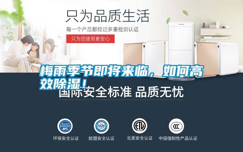 梅雨季節(jié)即將來臨，如何高效除濕！