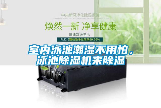室內(nèi)泳池潮濕不用怕，泳池除濕機(jī)來(lái)除濕