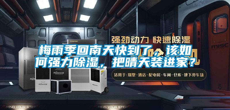 梅雨季回南天快到了，該如何強力除濕，把晴天裝進家？