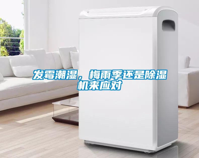 發(fā)霉潮濕，梅雨季還是除濕機(jī)來應(yīng)對(duì)