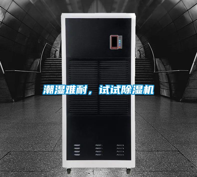 潮濕難耐，試試除濕機(jī)