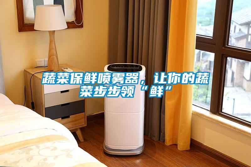 蔬菜保鮮噴霧器，讓你的蔬菜步步領(lǐng)“鮮”