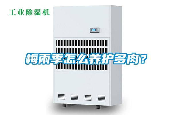 梅雨季怎么養(yǎng)護多肉？