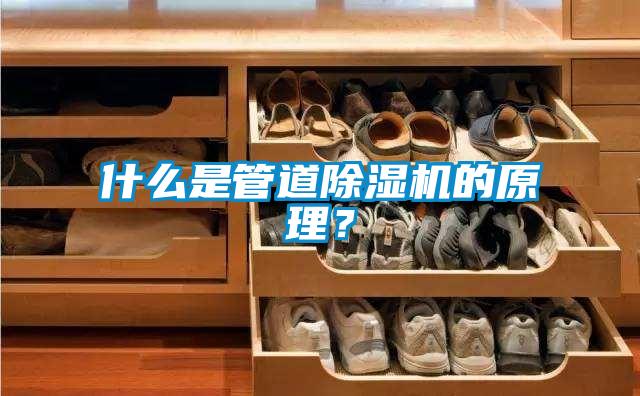 什么是管道除濕機的原理？