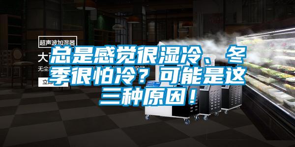 總是感覺很濕冷、冬季很怕冷？可能是這三種原因！