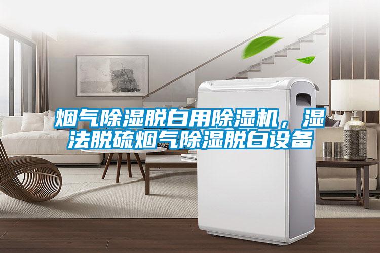 煙氣除濕脫白用除濕機，濕法脫硫煙氣除濕脫白設備