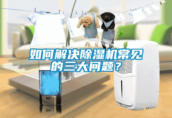 如何解決除濕機常見的三大問題？
