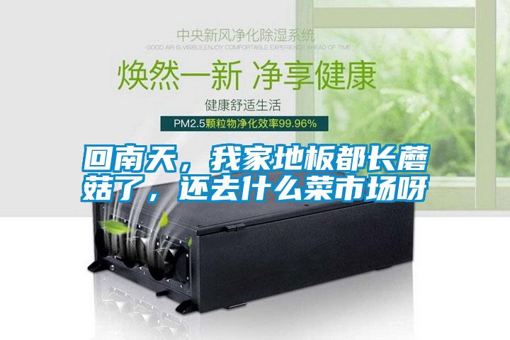 回南天，我家地板都長蘑菇了，還去什么菜市場呀
