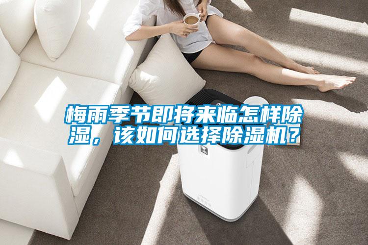 梅雨季節(jié)即將來臨怎樣除濕，該如何選擇除濕機？