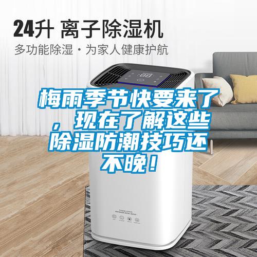 梅雨季節(jié)快要來了，現(xiàn)在了解這些除濕防潮技巧還不晚！
