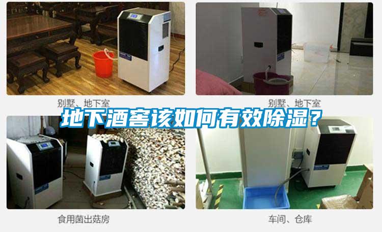 地下酒窖該如何有效除濕？
