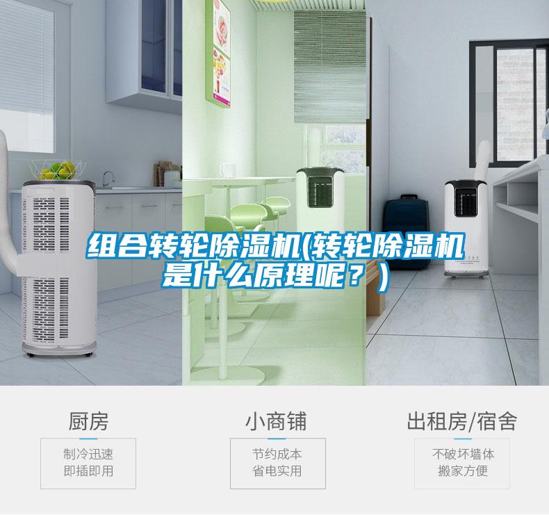 組合轉(zhuǎn)輪除濕機(jī)(轉(zhuǎn)輪除濕機(jī)是什么原理呢？)